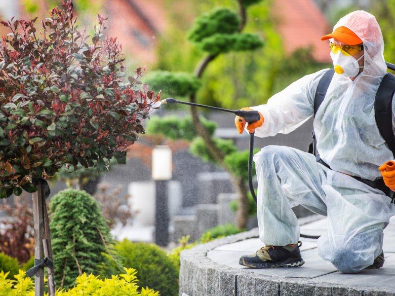 Eşme Haşere İlaçlama